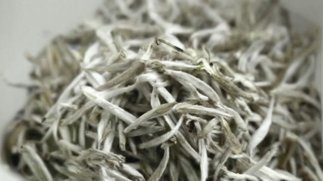 君山银针茶:探寻神奇功效,解析健康作用,让你茶饮更有价值 君山银针茶:探寻神奇功效,解析健康作用,让你茶饮更有价值
