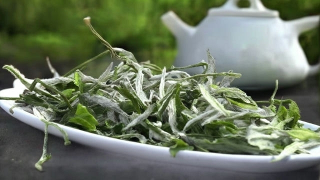 品味白茶:时间的馈赠,情谊的沉淀,久远依旧,何尝不是美好的礼物? 品味白茶:时间的馈赠,情谊的沉淀,久远依旧,何尝不是美好的礼物?