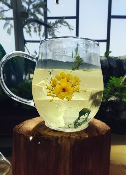 玫瑰花茶的功效解析与科学饮用指南 玫瑰花茶的功效解析与科学饮用指南