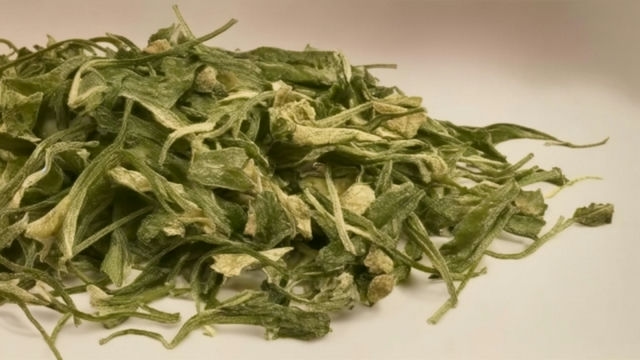 君山银针,湖南名茶的骄傲,突显独特特质,馥郁芬芳令人心驰神往 君山银针,湖南名茶的骄傲,突显独特特质,馥郁芬芳令人心驰神往