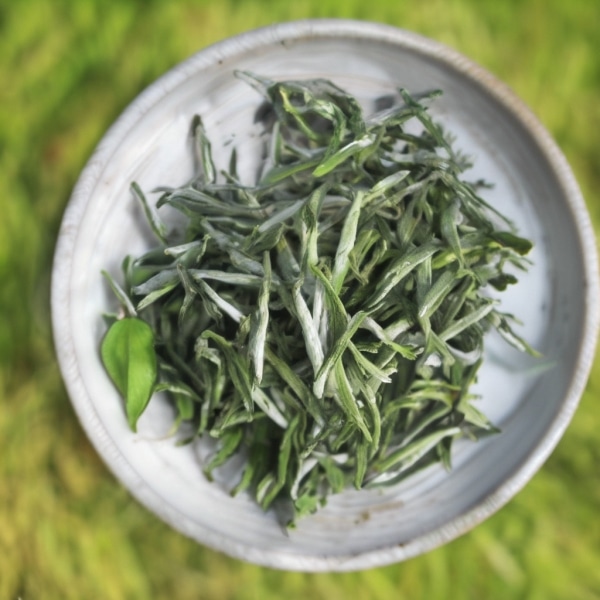 黄茶产地主要在哪里探索中国四大名茶的源头与风土人情 黄茶产地主要在哪里探索中国四大名茶的源头与风土人情