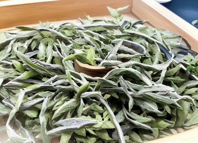 霍山黄芽与金丝皇菊泡不开的原因解析及解决方法揭秘 霍山黄芽与金丝皇菊泡不开的原因解析及解决方法揭秘