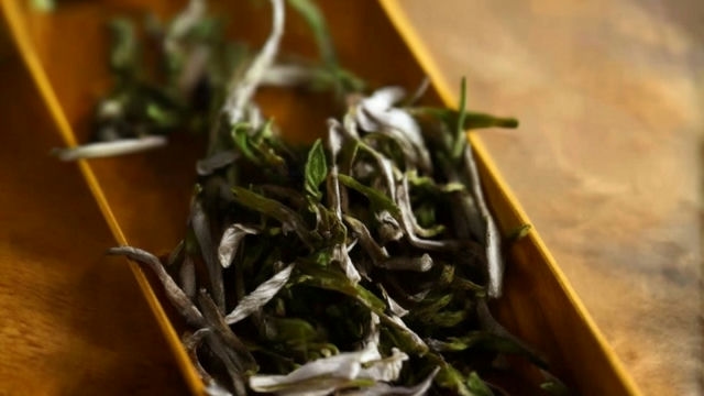 探秘白茶:揭秘八大神奇功效,解读正确使用方法,避免禁忌 探秘白茶:揭秘八大神奇功效,解读正确使用方法,避免禁忌